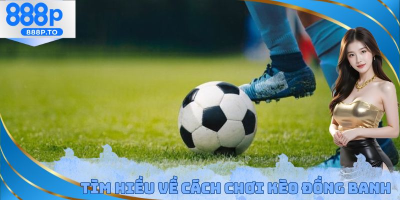 Cách Chơi Đồng Banh 888p - Bật Mí Phương Pháp Chơi Hiệu Quả - playmarble.lol